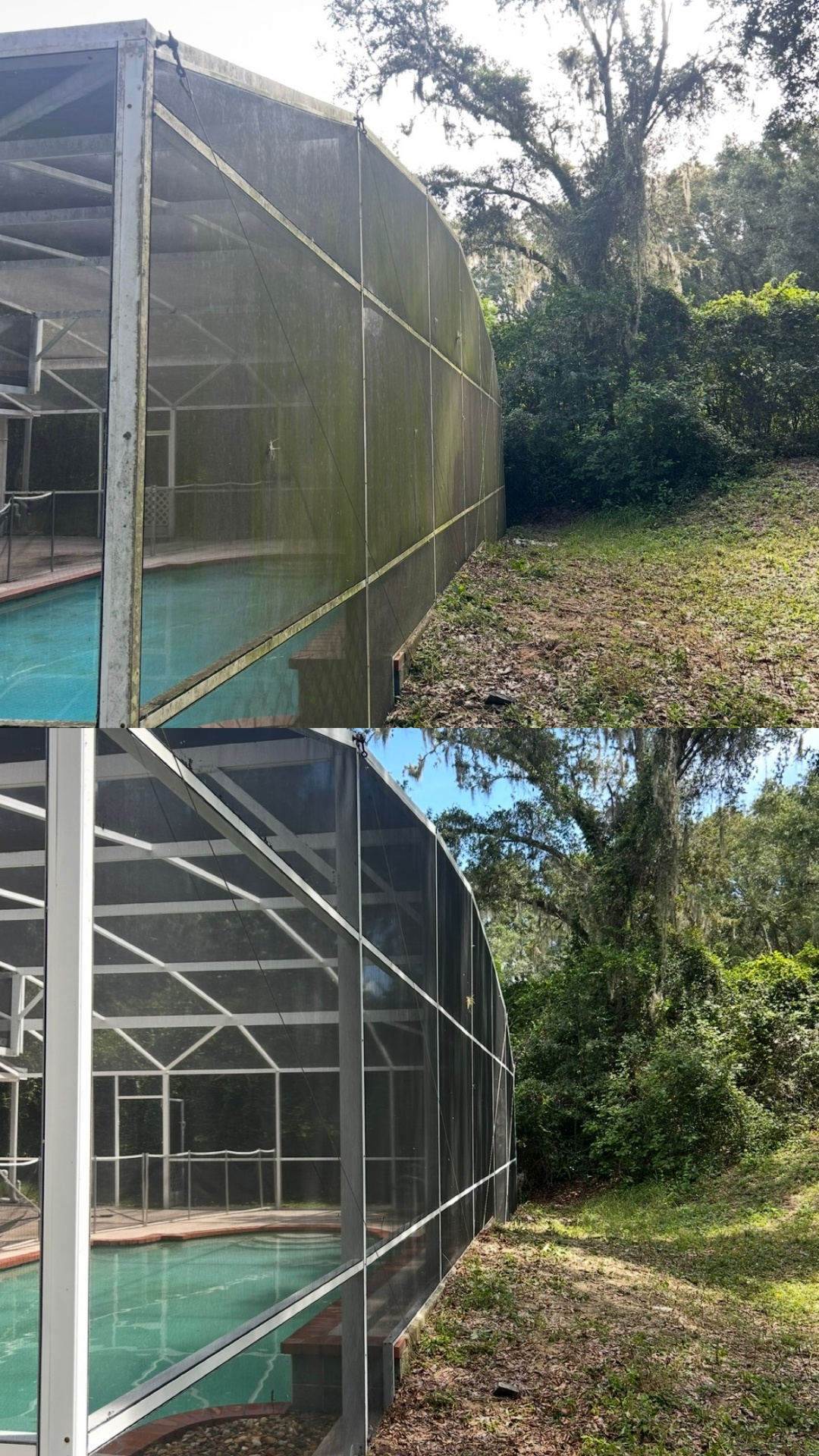 Pool Enclosure Restoration